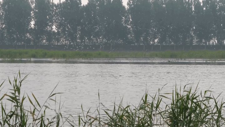 微信图片_20230206112223.gif